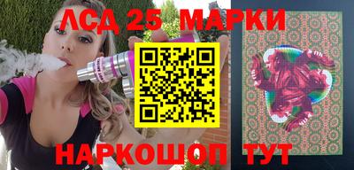 a pvp Новозыбков