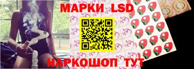 a pvp Новозыбков