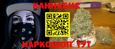 a pvp Новозыбков