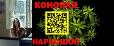 a pvp Новозыбков
