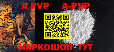 a pvp Новозыбков