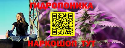 a pvp Новозыбков