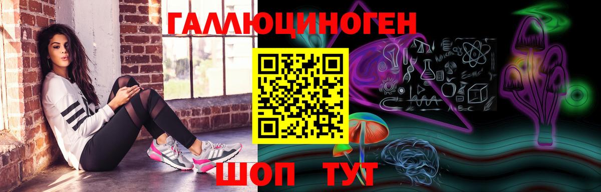 Псилоцибиновые грибы мицелий Солнечногорск