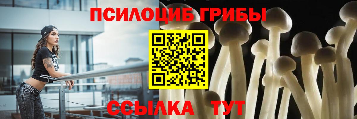 Солнечногорск  Галлюциногенные грибы Psilocybe  Вход с VPN 